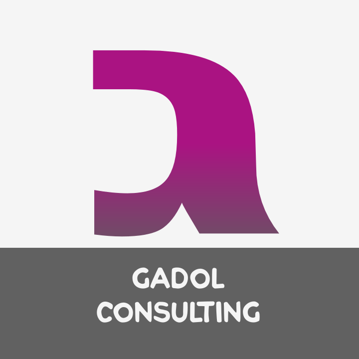 Gadol Consulting