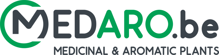 Medaro