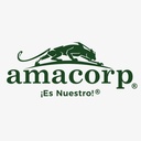 AMACORP, C.A