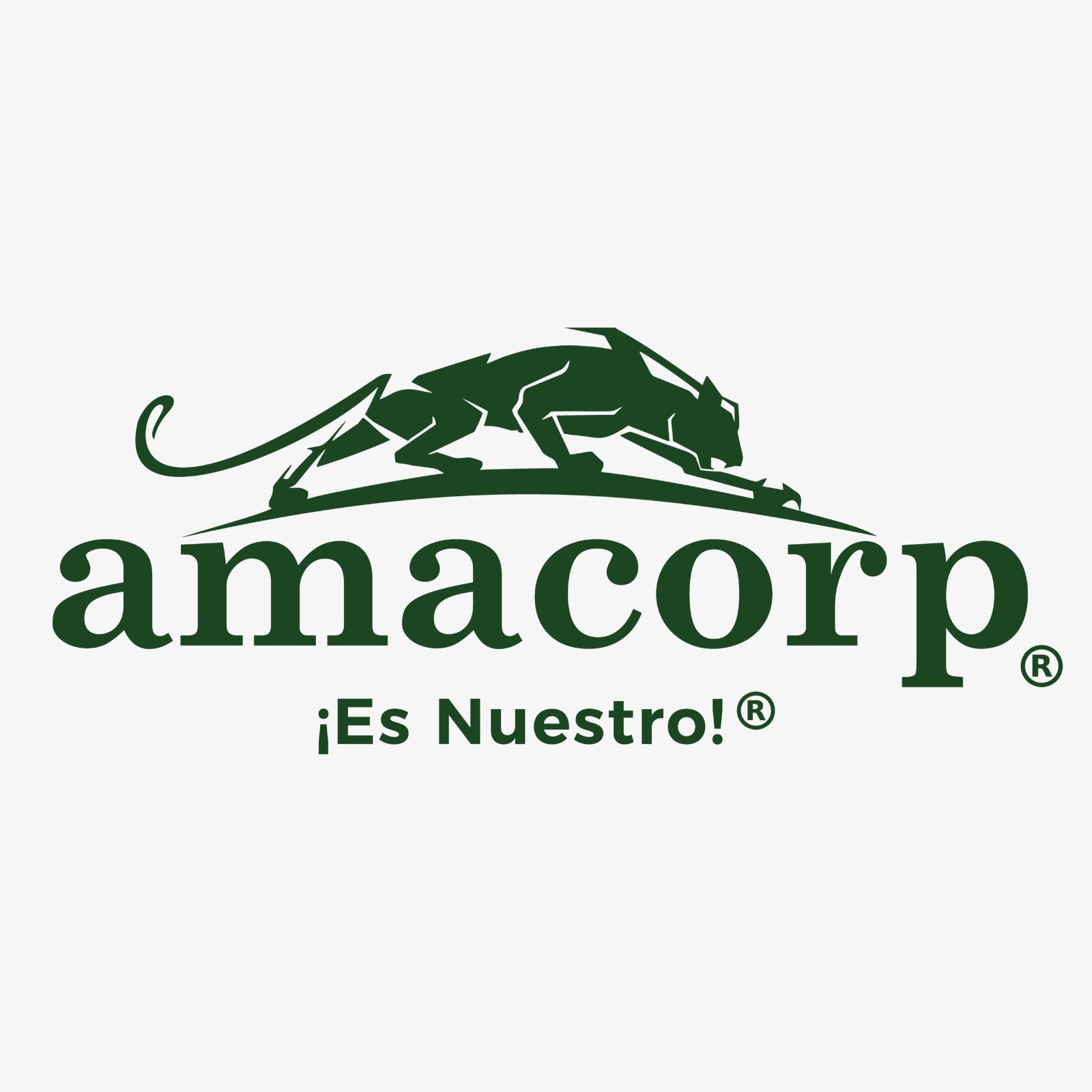 AMACORP, C.A