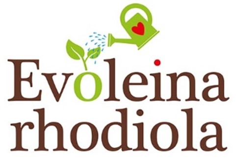 Evoleina rhodiola Sàrl