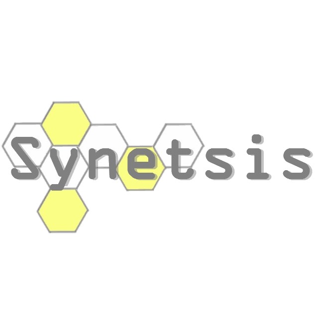 Synetsis Chile SpA
