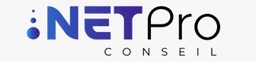 NETPro Consulting