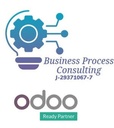 Business Process Consulting C.A.