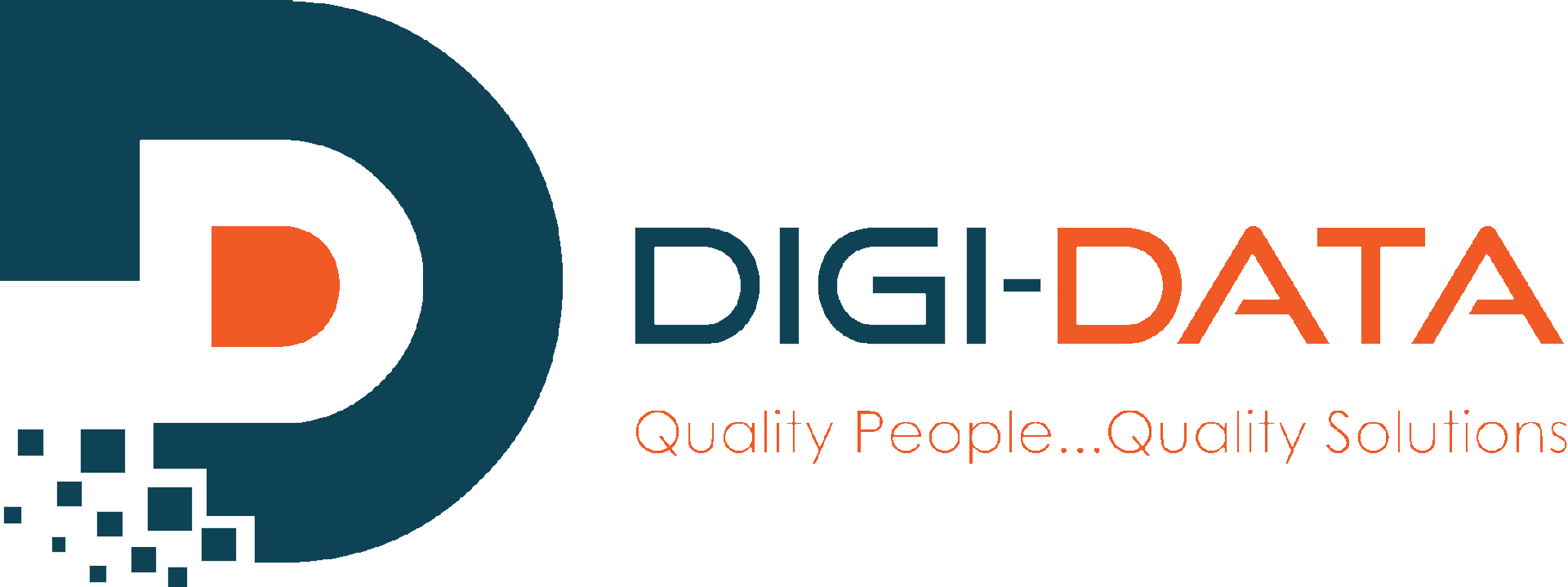 Digi Data Systems Limited