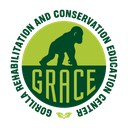 Gorilla Rehabilitation and Conservation Education (GRACE)