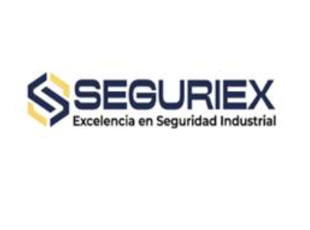Seguriex