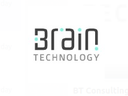 BT Consulting SAS