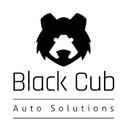 Black Cub Consultoría y Servicios SA de CV