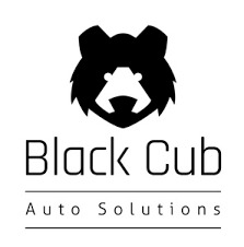 Black Cub Consultoría y Servicios SA de CV