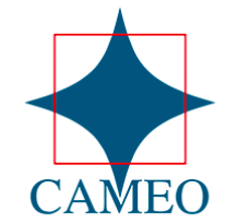CAMEO CORPORATE SERVICES LIMITED