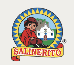 CORPORACIÓN GRUPPO SALINAS
