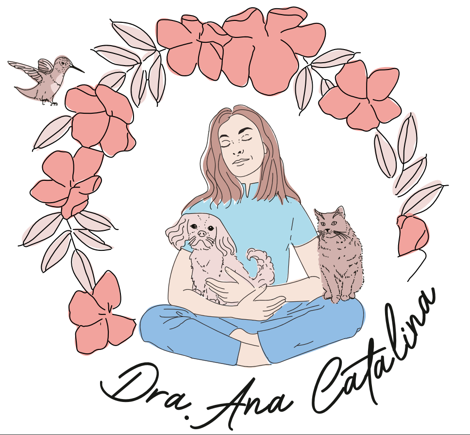 Wellness Veterinary