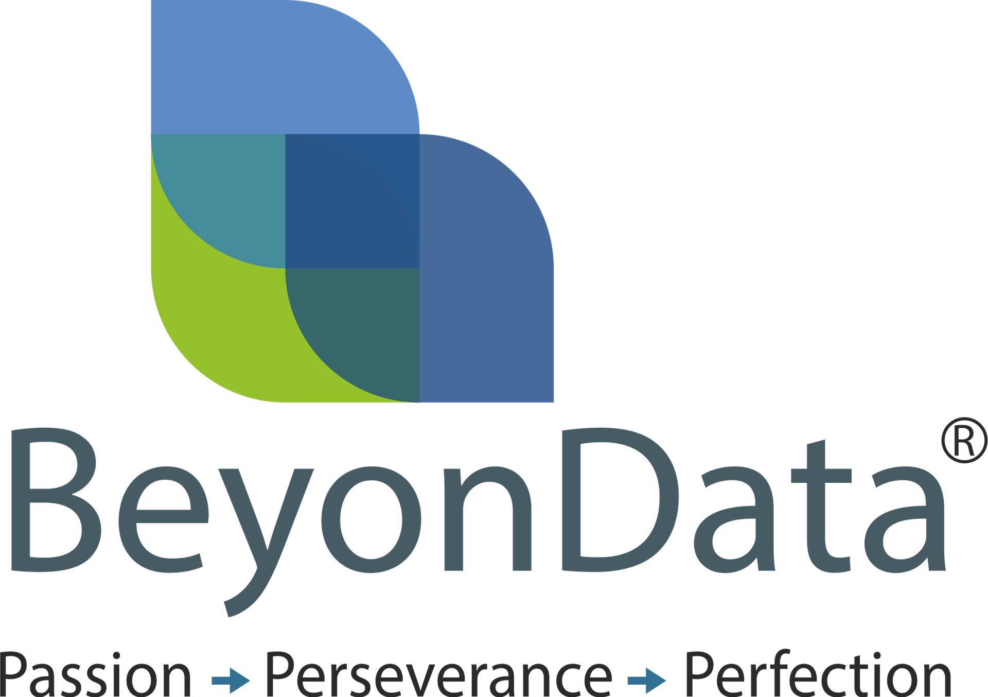 BeyonData Solutions Pvt Ltd