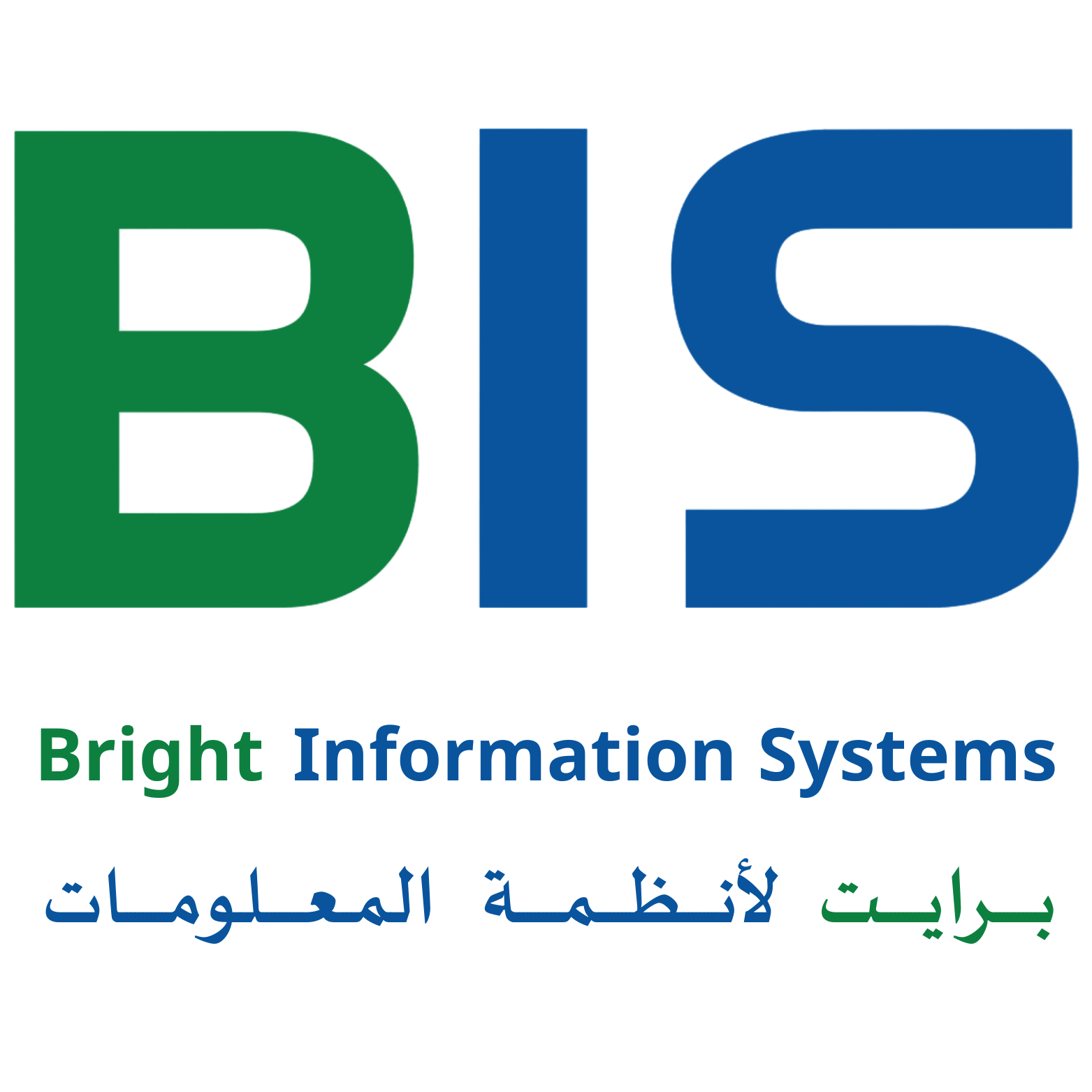 Bright Information Systems