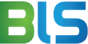 Bright Information Systems