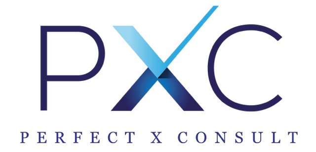Perfect X Consult e.U.