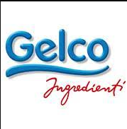 GELCO S.R.L.