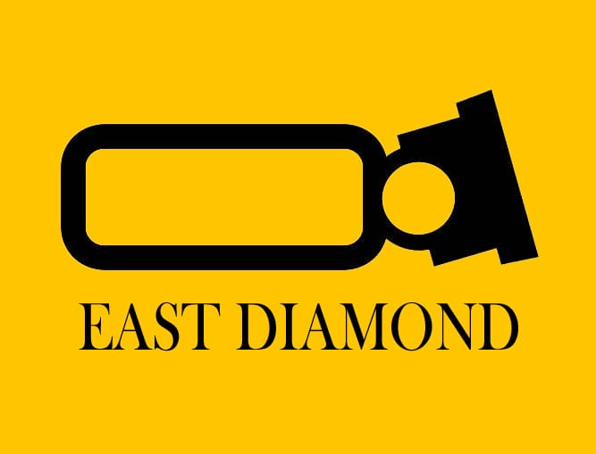 East Diamond pumps trading L.L.C