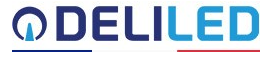 SAS DELITECH GROUP