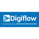 DigiFlow