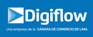 DigiFlow