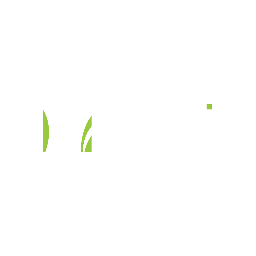 Safari Decor Co. LLC
