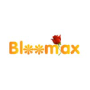 Bloomax Flowers