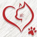 Pretty Kitty Cat Grooming