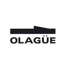 JAVIER OLAGUE S.A.