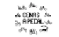 CENAS A PEDAL - IMPORTAÇÃO COMERCIO E SERVIÇOS LDA
