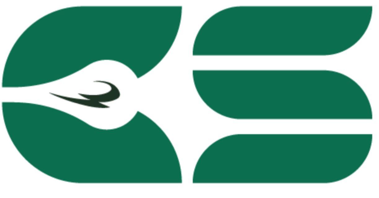 Safe Current Systems Trading EST