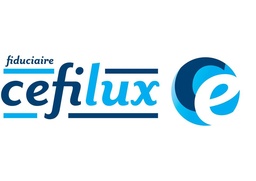 FIDUCIAIRE CEFILUX, Dubois Thierry