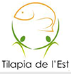 tilapia de l'est