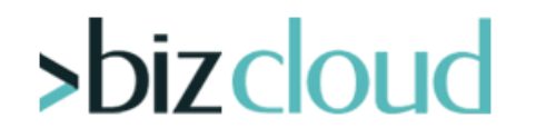 Bizcloud Information Technologies L.L.C