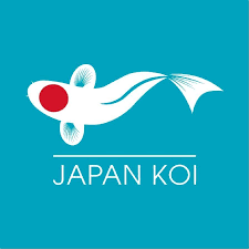 Japan Koi SRL