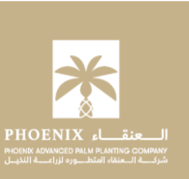 Phoenix Advanced Palms Planting