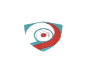 شركة المستقبل المنير , شركة المستقبل المنير