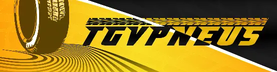 TGVPNEUS - COMÉRCIO DE PNEUS LDA