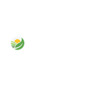 Green Corporate Initiative