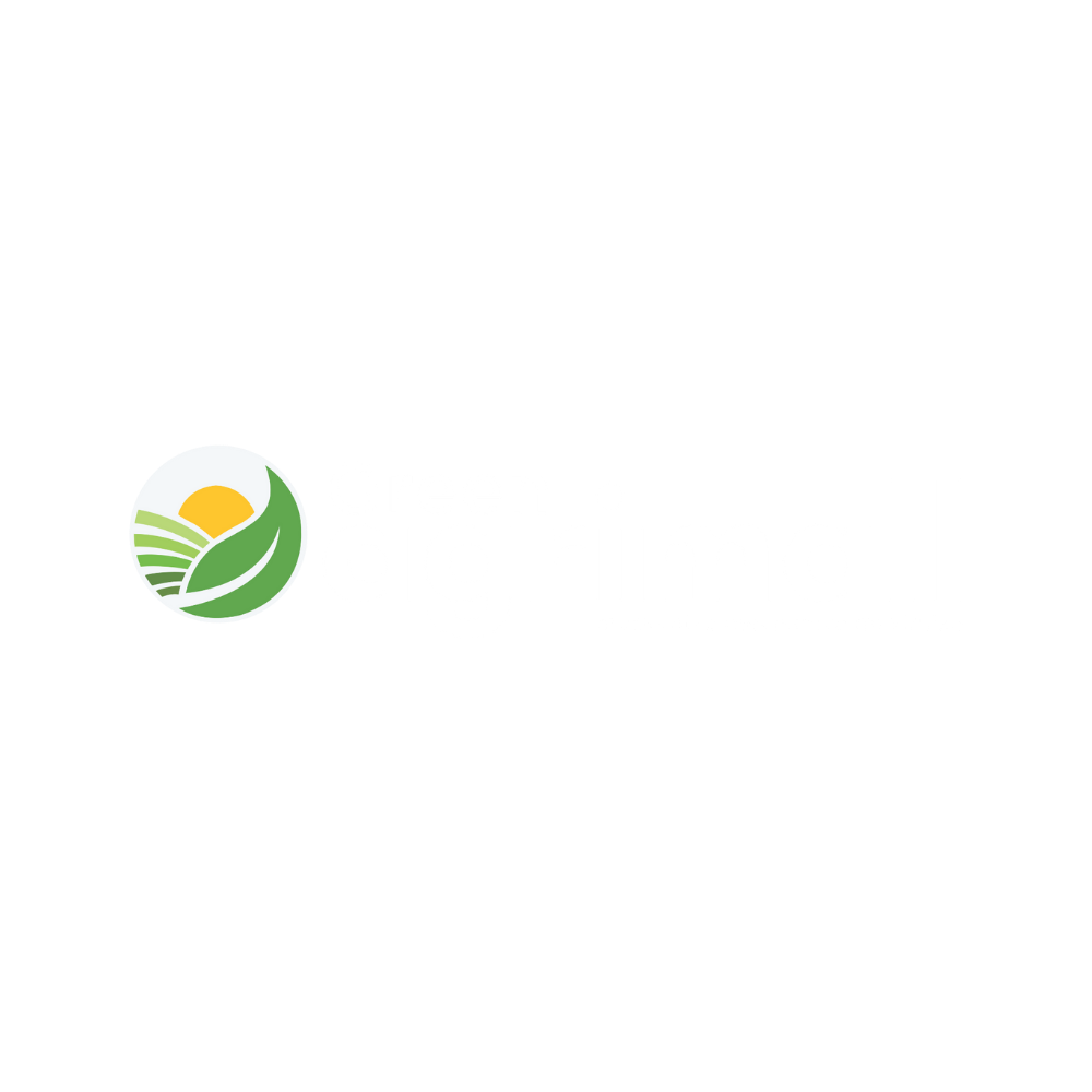 Green Corporate Initiative