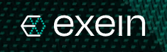 EXEIN SPA