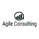 Agile Consultant Group