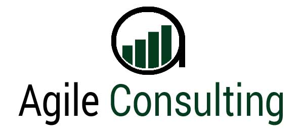Agile Consultant Group