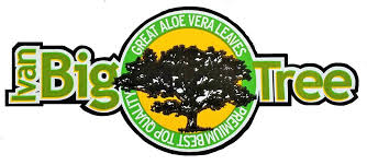 IvanBigTree