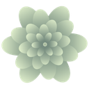 Divity