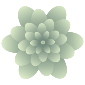 Divity