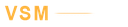 V S M & CO LLP