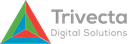 Trivect Digital Solutions Private Limited