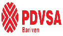 INVERSIONES BARIVEN 1713, S.A., INVERSIONES BARIVEN 1713, S.A.